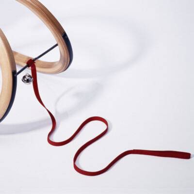 Sirch Ziehgurt/Ziehseil  für Schlitten Nylon rot