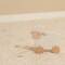 Little Dutch: Nachziehtier Schaf Holz FSC