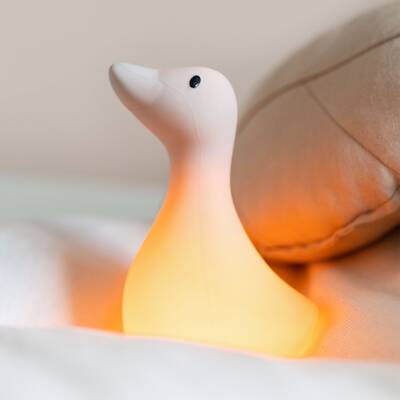 Flow Amsterdam: Nachtlicht Gans Liva beige