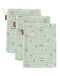 Fresk: Waschlappen Surf Boy 3erSet Bio-Baumwolle