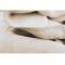 Biederlack: Einfarbige Kuscheldecke in 150x200cm in ecru und beige