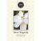 Bridgewater Candle: Duftsachet Sweet Magnolia