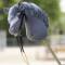 Hobby Horsing graues Steckenpferd zum selber basteln