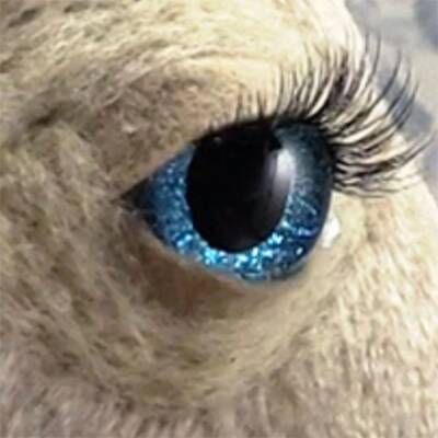 Augen und Wimpern  für Steckenpferd DIY Hobby Horse