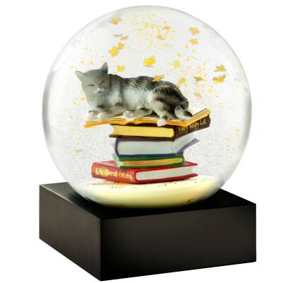CoolSnowGlobes: Schneekugel Cat on Books
