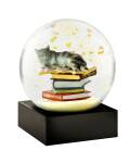 CoolSnowGlobes: Schneekugel Cat on Books