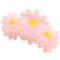 Haarklammer Flowers Daisy rosa