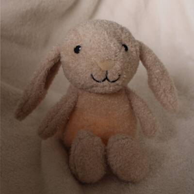 Flow Amsterdam: Nachtlicht Hase Milo