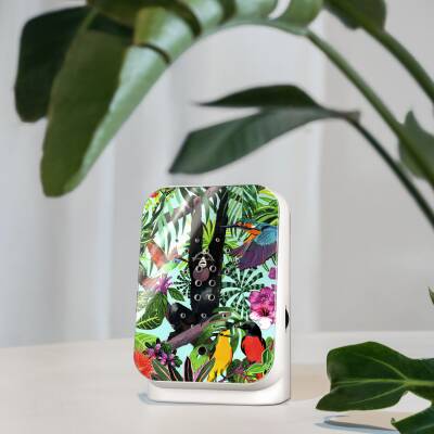 Junglebox Tropic 120Sek. Dschungelklänge Relaxound