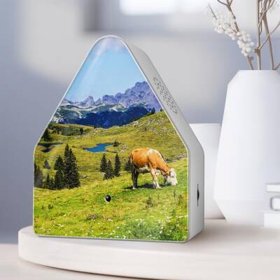 Heidibox Alpine Meadow 180Sek. Alpenklänge Relaxound