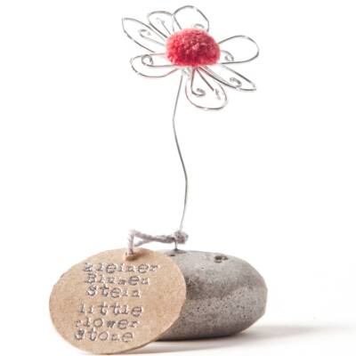 Good old friends: Mini Glücksblumenstein Rosa
