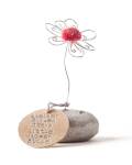 Good old friends: Mini Glücksblumenstein Rosa