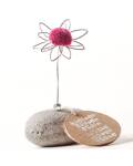 Good old friends: Mini Glücksblumenstein Pink