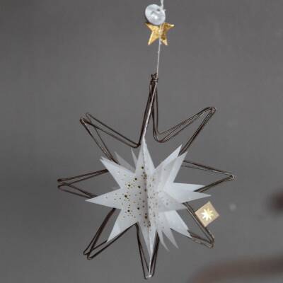 Good old friends:Winter Ornament Transparent Stern