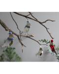 Good old friends: Wintervogel mit blauem Schal