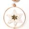 Good old friends: Goldstern Ornament Stern-Schnee
