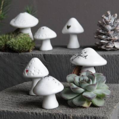 Good old friends: Winter Glückspilz Blumenkranz-Stern