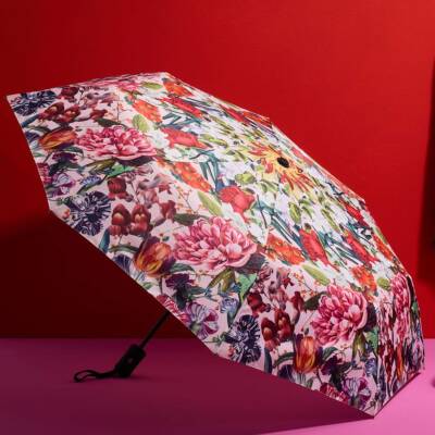 Cedon: Regenschirm Automatik Blumengruss Easy Umbrella