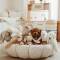 Play and Go: Bloom Spielmatte-Babynest 3in1 Moon