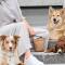 Leckerlitasche Hund Palopa Karl M almond
